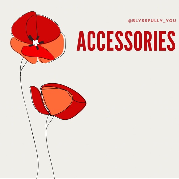 ACCESSORIES - Picture 2 of 2